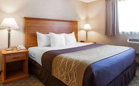 Comfort Inn Kirkland Wa